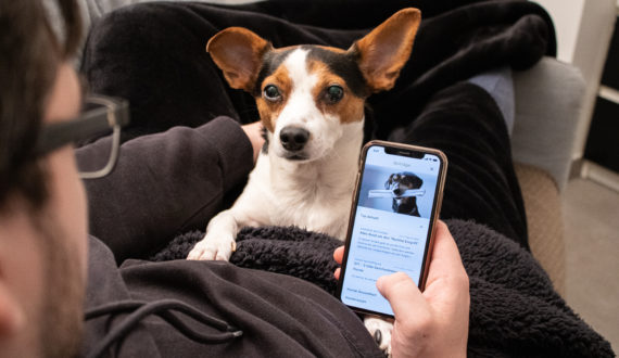 SmartDog – die Online-Hundeschule